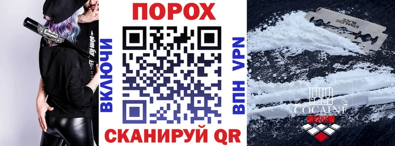 Купить где Новозыбков АМФ VHQ