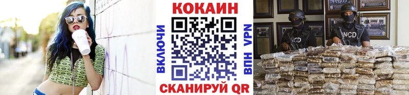 Купить закладки  Новозыбков  COCAIN Боливия 