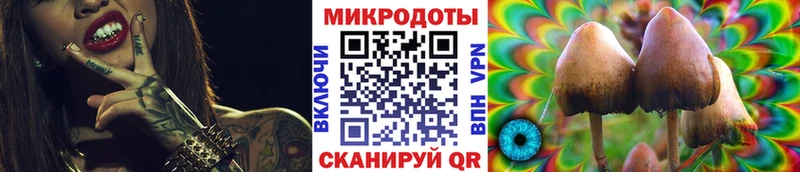 Псилоцибиновые грибы Psilocybe  Купить  Новозыбков 